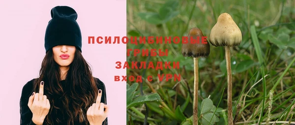 прущая мука Балабаново